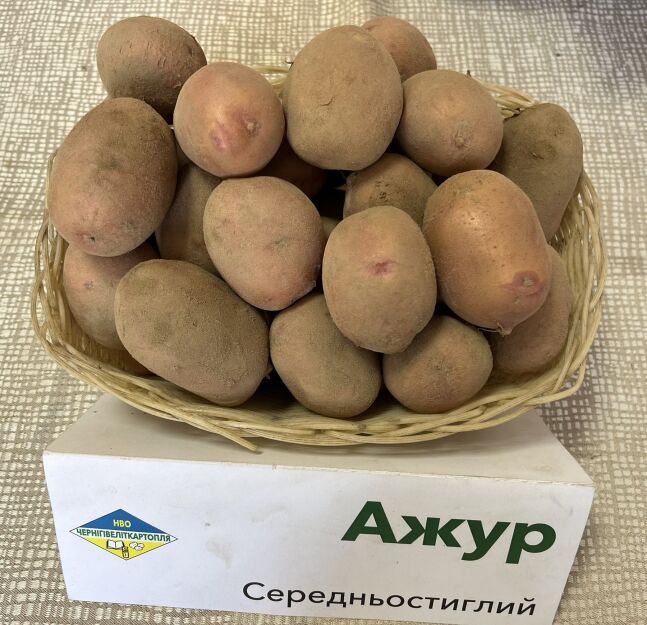 АЖУР